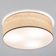 Paulmann Liska Deckenlampe in hellem Holz