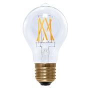 SEGULA LED-Lampe E27 5W 2.200K Filament klar dimm