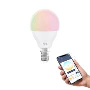 EGLO connect-z E14 P45 LED-Lampe 5W 470lm RGBW