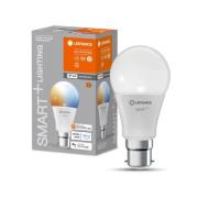 LEDVANCE SMART+ WiFi B22d 9W Classic 2.700-6.500K