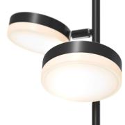 Maytoni Fad LED-Stehleuchte mit Dimmer, drehbar