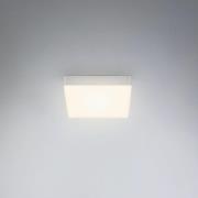 LED-Deckenleuchte Flame, 15,7 x 15,7 cm, silber