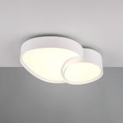 LED-Deckenleuchte Rise, weiß, 43 x 36 cm, CCT, dimmbar