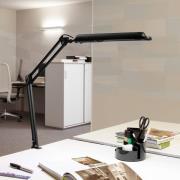 LED-Tischleuchte MAULatlantic, schwarz, Höhe 38 cm, Klemmfuß