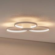 BEGA LED-Deckenleuchte 51299.1, samtweiß, Metall, DALI