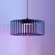 EGLO connect LED-Hängeleuchte Ginestrone-Z, 1-fl., schwarz