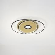 Paul Neuhaus Q-AMIRA LED-Deckenlampe oval, schwarz