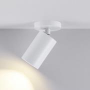 Deckenspot CAN TILT, weiß, Ø 8 cm, 1-flammig, Metall, GU10