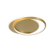 LED-Deckenlampe Evelyn, goldfarben, Länge 55 cm, Metall