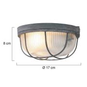 Deckenleuchte Lisanne, grau, Ø 17 cm, Metall, Glas, E27