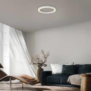 PURE LED-Deckenlampe Lines, Ø 50 cm, weiß CCT, Fernbedienung