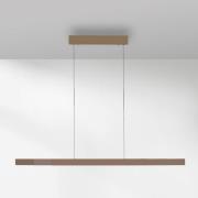 Paul Neuhaus LED-Hängelampe Adriana Square, bronze, up/down