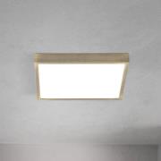 LED-Deckenlampe Disc, messingfarben antik, Länge 24 cm, CCT