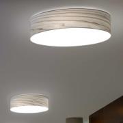 LZF LED-Wandlampe Gea, grau, Ø 42 cm, Holz