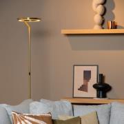 LED-Stehlampe Celeste gold-/messingfarben Höhe 174 cm Metall