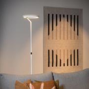 LED-Stehlampe Celeste, weiß, Höhe 174 cm, Metall