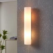 Schlichte Wandleuchte Zena, Höhe 39 cm