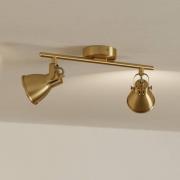Deckenspot Seras messing-gold gebürstet, 2-flammig