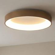 LED-Deckenlampe Niseko II CCT Fernbedienung Ø38cm goldfarben