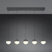 LED-Hängelampe Senta, anthrazit, Länge 114 cm 3.000 K 5-flg.