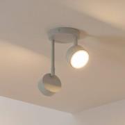 Deckenstrahler Nemo, 2-fl., grau-beige, beweglich, GX53
