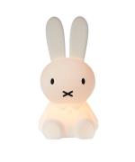 Mr Maria - Miffy First Light New Mr. Maria