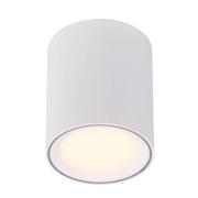 Nordlux - Fallon Spotlight Long White/White