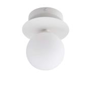 Globen Lighting - Art Deco 24 Wand-/Deckenleuchte IP44 White