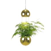 Globen Lighting - Mini Planter Pendelleuchte Brass