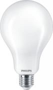 E27 23W LED Normal warm white Frosted
