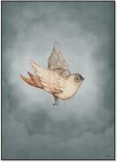 Mrs Mighetto Poster Dear Sparrow 50x70