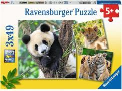 Ravensburger Puzzles Panda, Lion and Tiger 3x49 Teile