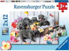 Ravensburger Puzzles Small Fur Balls 2x12 Teile