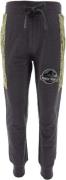 Jurassic World Jogginghose, Dark Grey, 3 Jahre