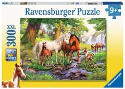 Ravensburger Horses By The Stream Puzzle 300 Teile