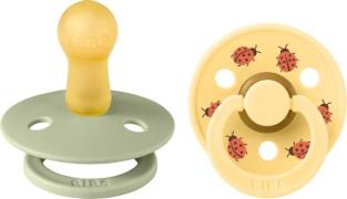 BIBS Studio Colour Ladybug Schnuller 2er-Pack Latex Größe 2, Sage